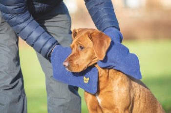 Digby & Fox Dog Towel Glove