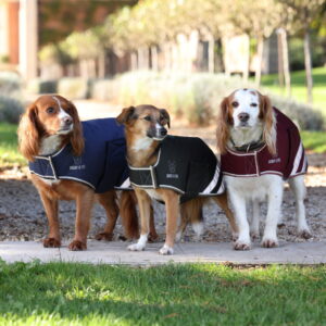 Digby & Fox Waterproof Dog Coat