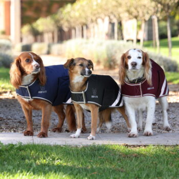Digby & Fox Waterproof Dog Coat