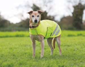 Equi-Flector Dog Coat