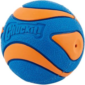 Chuckit Ultra Squeaker Ball