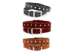 Ancol Leather Stud Collar
