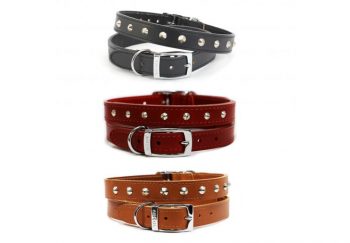 Ancol Leather Stud Collar