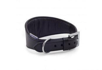 Ancol Whippet Padded Collar
