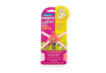 Ancol Small Animal Harness Set
