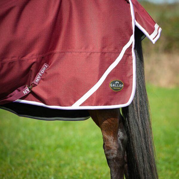 Gallop Trojan Xtra Lightweight Turnout