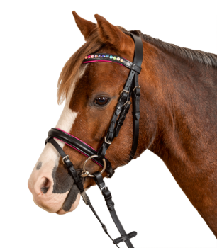Waldhausen Pinky Star Bridle