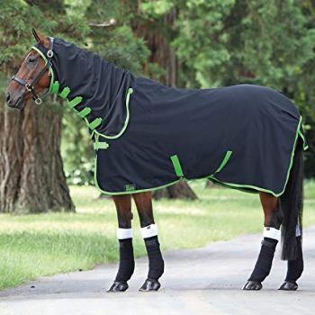 Shires Premium Stable/Dust Sheet Combo