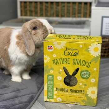 Burgess Excel Meadow Munchies