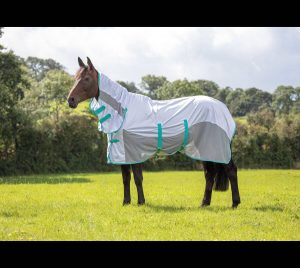 Shires Tempest Original Fly Mesh Combo