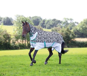 Shires Tempest Original Zeb-Tek Fly Combo