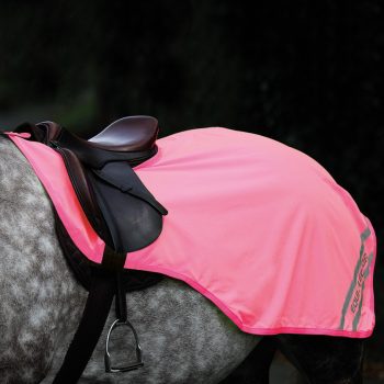 Shires Equi-Flector Exercise Sheet