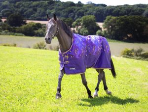 Tempest Original 100 Turnout Rug