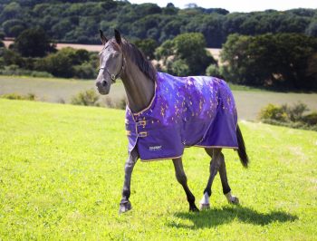 Tempest Original 100 Turnout Rug
