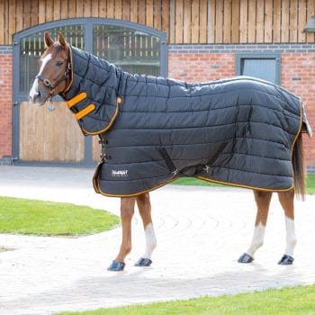 Shires Tempest Original 300 Stable Combo
