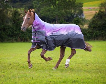 Highlander Original 100g Combo Rug