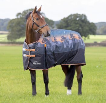Highlander Original 200 Turnout Rug