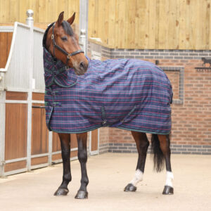 Shires Equestrian Tempest Plus 100g Stable Combo