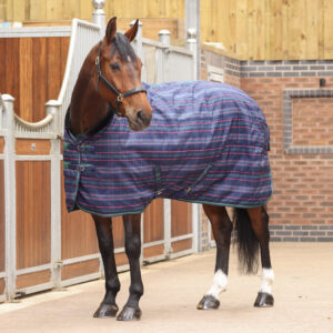 Shires Equestrian Tempest Plus 100g Stable Rug