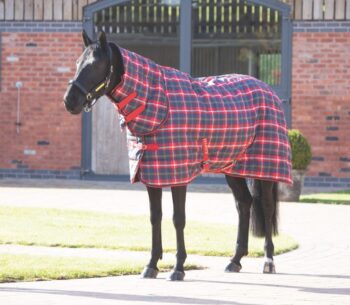 Shires Tempest Plus 200 Stable Combo
