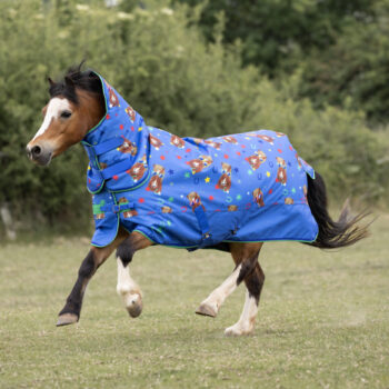 Shires Tikaboo 200 Combo Turnout Rug