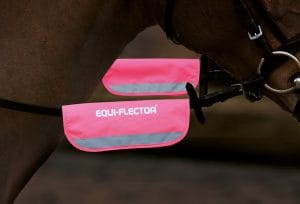 Shires Equi-Flector Bridle Bands