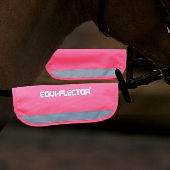 Shires Equi-Flector Bridle Bands