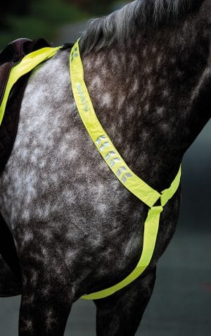 Shires Equi-Flector Breast Plate