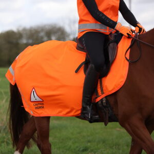 Shires Equi-Flector Mesh Exercise Sheet