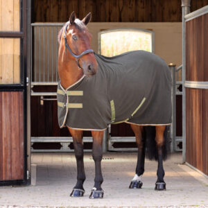Shires Tempest Fleece Rug