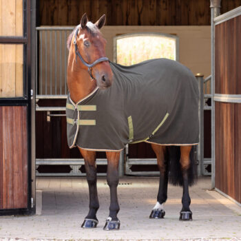 Shires Tempest Fleece Rug