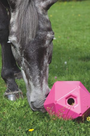 Shires Ball Feeder