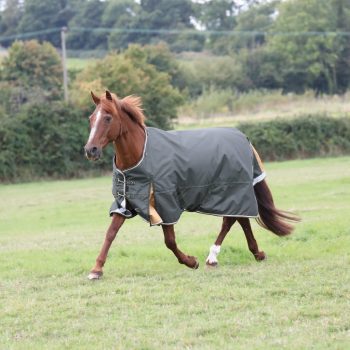 Shires Highlander Plus 50g Turnout Rug