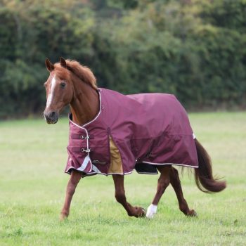 Shires Highlander Plus 100g Turnout Rug