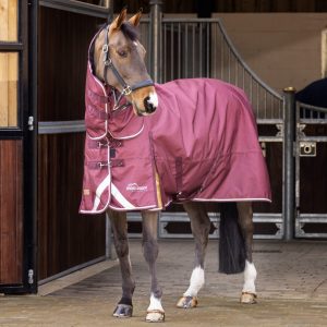 Shires Highlander Plus 100g Combo Turnout Rug