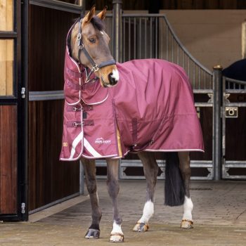 Shires Highlander Plus 100g Combo Turnout Rug