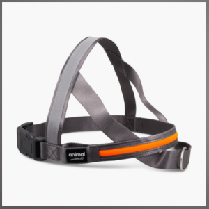 Animal Instincts Flashing Safety Full Shine Nylon Harness