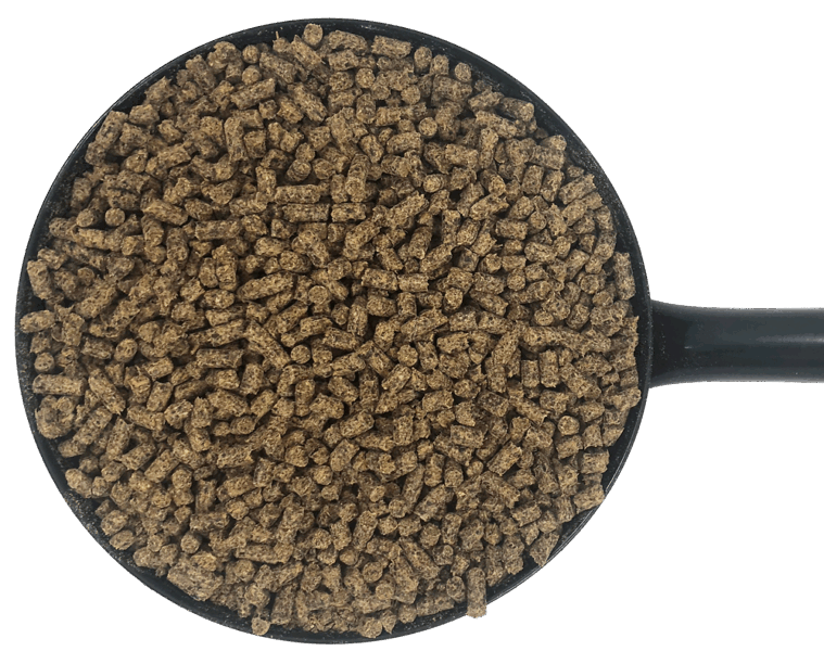 D&H Cushcare 20kg