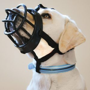 Muzzles