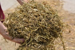 Haylage