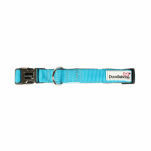 DoodleBone Padded Collar Aqua