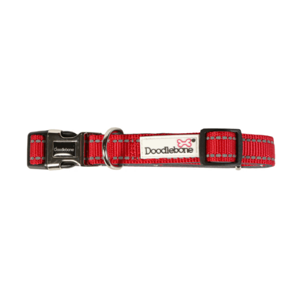 DoodleBone Padded Collar Ruby
