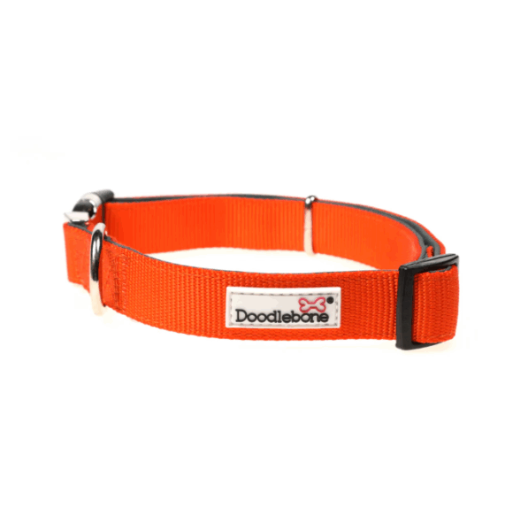 DoodleBone Padded Collar Tangerine