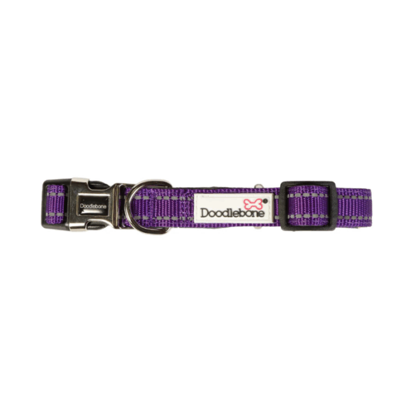 DoodleBone Padded Collar Violet