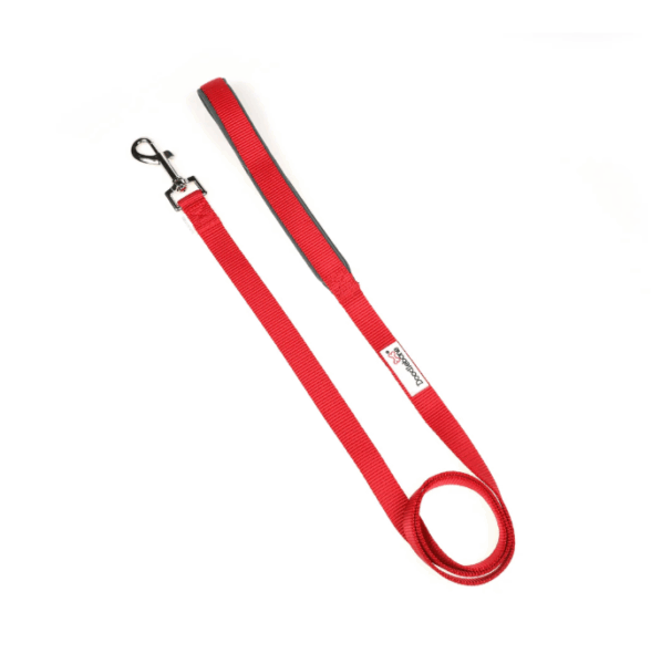 DoodleBone Padded Lead Ruby