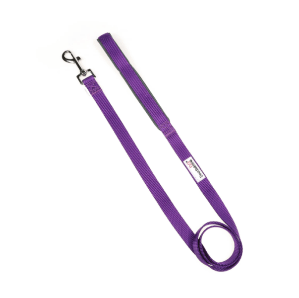 DoodleBone Padded Lead Violet