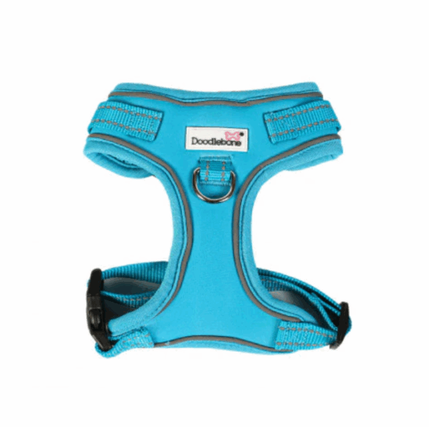 Doodlebone Adjustable Airmesh Harness Aqua