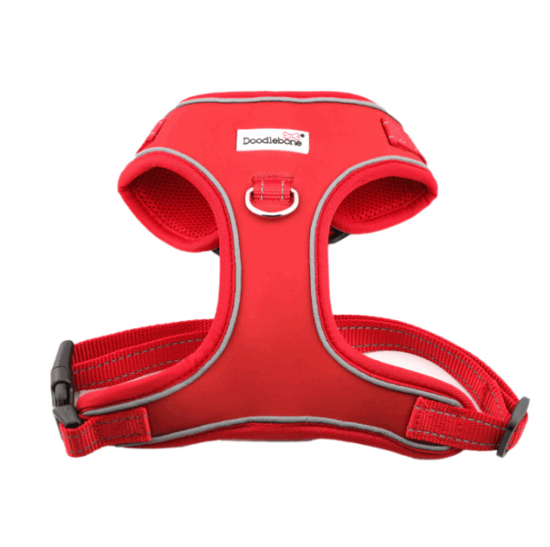 Doodlebone Adjustable Airmesh Harness Ruby