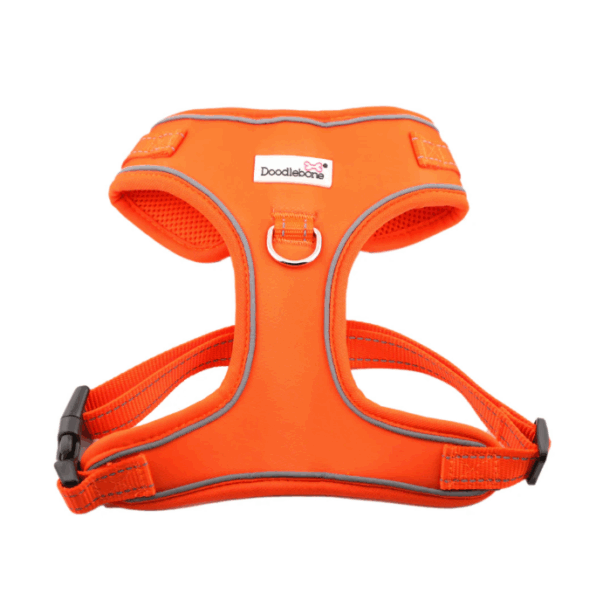 Doodlebone Adjustable Airmesh Harness Tangerine