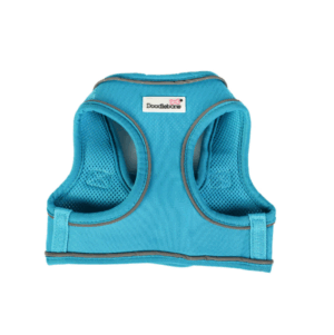 Doodlebone Snappy Harness Aqua
